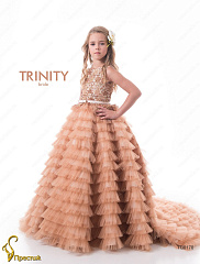 TG0170_32 Вечернее платье для девочки